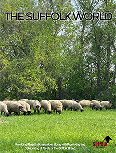 Spring 2026 Suffolk World