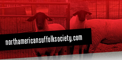 North American Suffolk Sheep Society