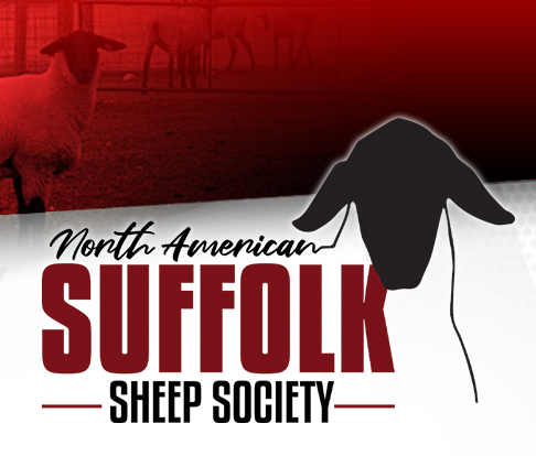 North American Suffolk Sheep Society