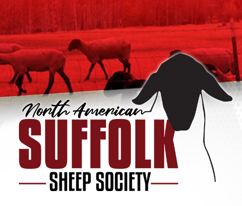 North American Suffolk Sheep Society