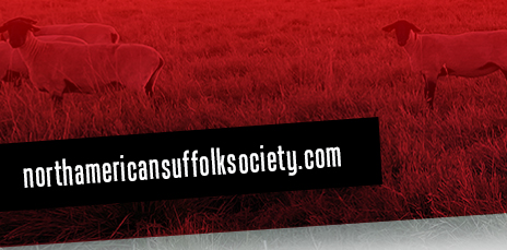 North American Suffolk Sheep Society